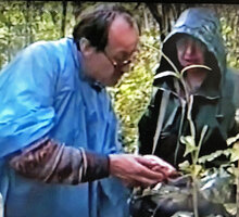 Patrick Blanc and Annette Hladik discussing about the seedling differences between the yet unnamed Ravenala blancii (malama) and Ravenala hladikorum (hiranhirana), Andasibe, Madagascar, June 1998, photo Pascal Heni
