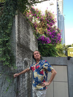 Patrick Blanc and an old Tibouchina granulosa in full bloom on Omote Sando, Tokyo, Sept. 2015