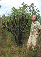 Patrick Blanc and an old Vellozia tubiflora surviving after many successive seasonal fires, Cano Cristales, Meta, Colombia, Oct. 2016