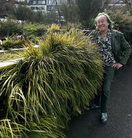Patrick Blanc and a part of his 12 years old vertical garden at SPG, Geneva, March 2025