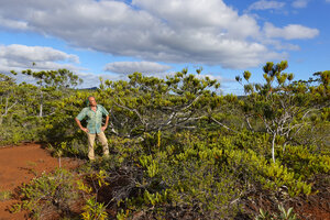 Patrick Blanc and a population of Callitris pancheri, Chutes Madeleine, New Caledonia, Aug. 2023