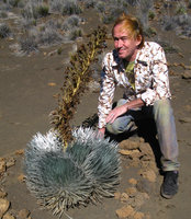 Patrick Blanc and Argyroxiphium sandwicense Hawai&#039;i, Jan. 2008