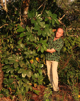 Patrick Blanc and a Schefflera at sunset, Phu Hin Rong Kla NP, Phitsanulok, Thailand, Nov. 2018