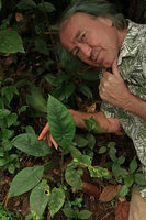 Patrick Blanc and a small leaved form of Alocasia perakensis, Cameron Highlands, Malaysia, Aug. 2018
