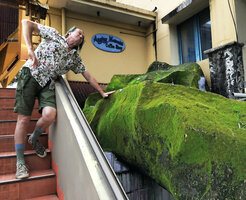 Patrick Blanc and a strange concrete structure covered with bright green somewhat iridescent algae and mosses, Makassar, South Sulawesi, June 2019