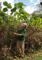 Patrick Blanc and a tall form of Piper umbellatum, Serra do Tabuleiro, Santa Catarina, Brazil, Oct. 2018