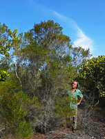 Patrick Blanc and a tall specimen of Erica mafiensis, Ngezi FR, Pemba, Tanzania, Jan. 2021