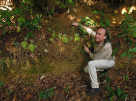 Patrick Blanc and a Tetraphyllum roseum population growing on a vertical earth bank, Khao Sok NP, Thailand, Dec 2015