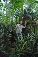 Patrick Blanc and a vegetative clump of the saxicolous Clivia caulescens, Blyde River Canyon, South Africa, Dec 2008