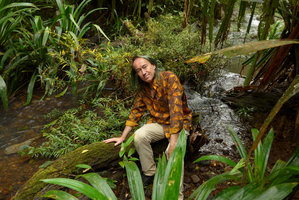 Patrick Blanc and a vegetative population of the rheophytic Ficus bambusifolia, Colo-I-Suva, Viti Levu, Fiji, Aug. 2016