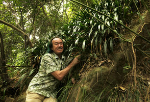 Patrick Blanc and a vegetative population of Aspidistra minutiflora, Shenzhen, China, Dec. 2017