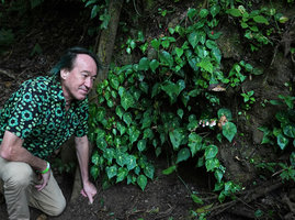Patrick Blanc and Begonia calderonii, Finca el Pilar, Antigua, Guatemala, Dec. 2019