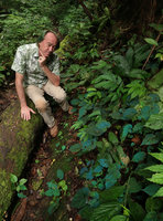Patrick Blanc and Begonia pavonina, photo without flash light, Cameron Highlands, Malaysia, Aug. 2018