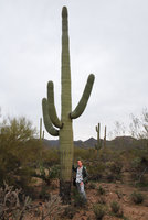 Patrick Blanc and Carnegiea gigantea at dusk, Saguaro NP, Arizona, Feb. 2010