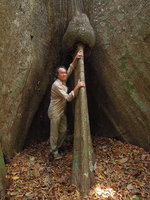 Patrick Blanc and Ceiba pentandra buttresses, Madre de Dios, Peru, Aug 2014