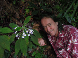 Patrick Blanc and Codonoboea quinquevulnera, Fraser's Hill, Malaysia, March 2015