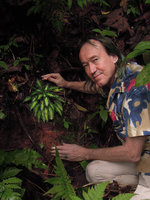 Patrick Blanc and Codonoboea tiumanica, Tioman, Malaysia, April 2015