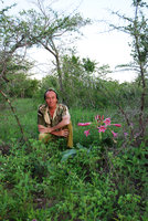 Patrick Blanc and Crinum stuhlmannii flowering in savanna, Singita, South Africa, Jan 2009