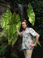 Patrick Blanc and Cyrtosperma merkusii, Botanic Gardens, Singapore, March 2016