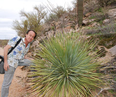 Patrick Blanc and Dasylirion wheeleri, Saguaro NP, Arizona, Feb. 2010