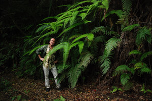 Patrick Blanc and Diplopterygium (syn. Gleichenia) laevissimum, Okinawa, Japan, April 2012