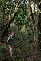 Patrick Blanc and Dracaena steudneri in perturbated forest, Harenna forest 1800 m asl, Bale NP, Ethiopia, Jan. 2019