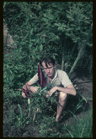 Patrick Blanc and Dracunculus vulgaris, Montauban, France, 1981