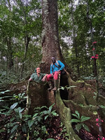 Patrick Blanc and Eric Ngansop among tree buttresses, Ebodje, Campo, Cameroon, Sept. 2023