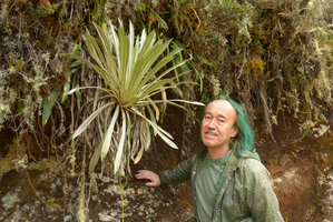 Patrick Blanc and Espeletia argentea, Chingaza Paramo, Bogota, Colombia, Oct. 2016