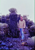 Patrick Blanc and Espeletia pycnophylla, Los Nevados, Merida, Venezuela, March 1999