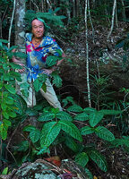 Patrick Blanc and Eugenia bullata, Port Boisé, New Caledonia, Aug. 2023