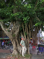 Patrick Blanc and Ficus rumphii, Hue, Vietnam, Oct. 2018