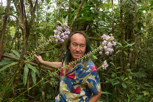 Patrick Blanc and flowering Spathoglottis pacifica, Waisali, Vanua Levu, Fiji, Aug. 2016