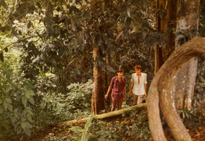 Patrick Blanc and François Maugis during the first Patrick field trip in tropical forests at 19 years old, Khao Yai NP, Thailand, Aug. 1972