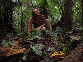 Patrick Blanc and Geogenanthus poeppigii, Madre de Dios, Peru, Aug 2014