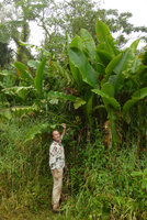 Patrick Blanc and Heliconia paka, Des Voeux peak, Taveuni, Fiji, Aug. 2016