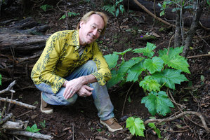 Patrick Blanc and Hillebrandia sandwicensis new growths from base, Kauai, Hawai&#039;i, Dec. 2007