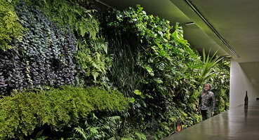 Patrick Blanc and his 14 years old vertical garden at the bar, CNAC Wall, Aoyama, Tokyo, Nov. 2025