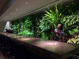 Patrick Blanc and his CNAC Vertical Garden, Aoyama, Tokyo, Sept. 2015