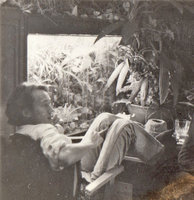 Patrick Blanc and his first small vertical garden with Cyclanthaceae in his family home, 1975