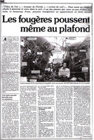 Patrick Blanc and his first vertical garden in family home, published for the first time in newspaper, V S D - March 1978