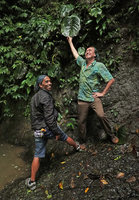 Patrick Blanc and his guide Samuel Palangda at the base of a seeping cliff covered by the huge macrocotyledons of a Monophyllaea, Sarambu Sikore, Tana Toraja, South Sulawesi, June 2019