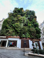 Patrick Blanc and his Oasis d&#039;Aboukir vertical garden in Paris, almost 12 years after its creation, Oct. 2024