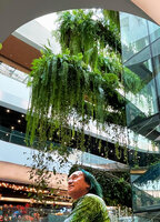 Patrick Blanc and his Rain Forest Chandelier, EmQuartier, Bangkok, March 2022