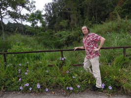 Patrick Blanc and Ipomoea cairica, Fraser's Hill, Malaysia, March 2015