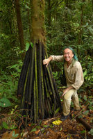 Patrick Blanc and Iriartea deltoidea stilt roots, Utria NP, Choco, Colombia, Nov. 2016