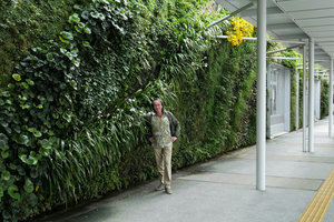 Patrick Blanc and Iris japonica along his vertical garden at the Shinkansen station, Yamaguchi, Japan, April 2017