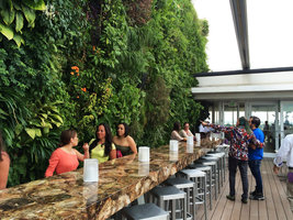 Patrick Blanc and Jonas Millan discussing about plants in front of the Juvia Vertical Garden, Miami Beach, Florida, July 2016