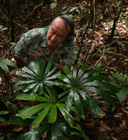Patrick Blanc and Licuala olivifera, Deramakot FR, Sabah, Borneo, July 2022