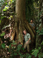 Patrick Blanc and Marc Jeanson among the huge thick stilt roots of Dracaena arborea, Campo, Cameroon, March 2018